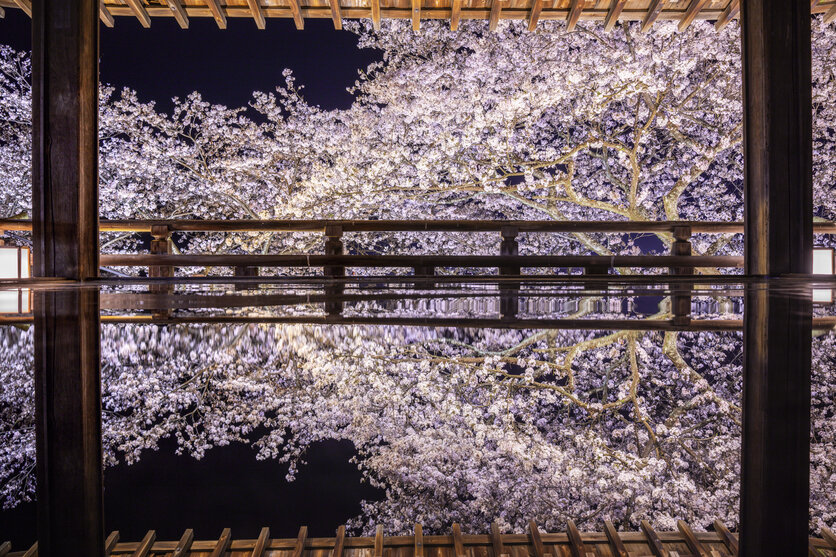 28-75mm F/2.8 Di III VXD G2 (Model A063) 