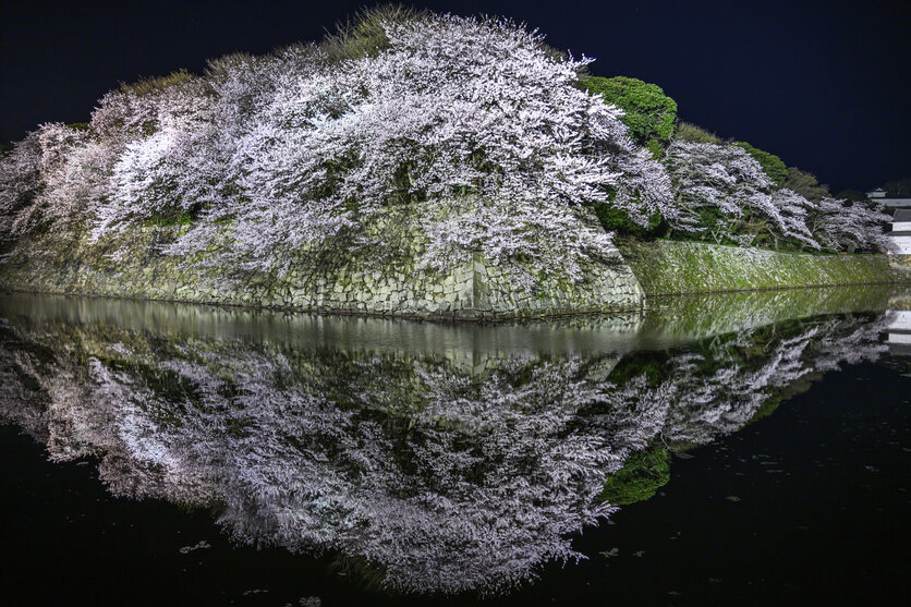 28-75mm F/2.8 Di III VXD G2 (Model A063) 