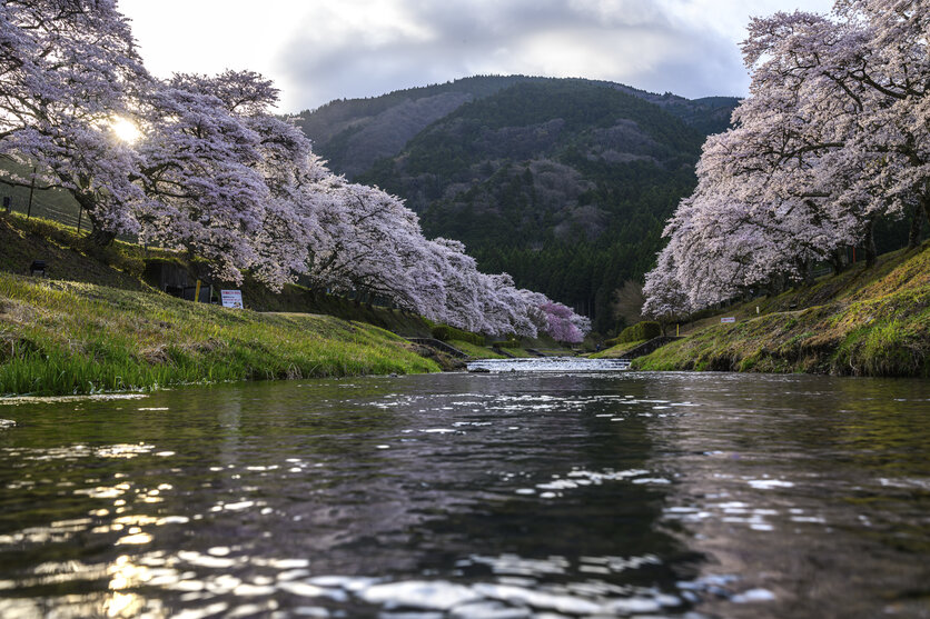 28-75mm F/2.8 Di III VXD G2 (Model A063) 