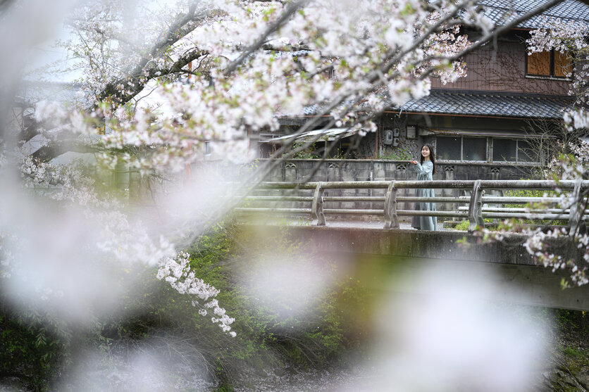 28-75mm F/2.8 Di III VXD G2 (Model A063) 