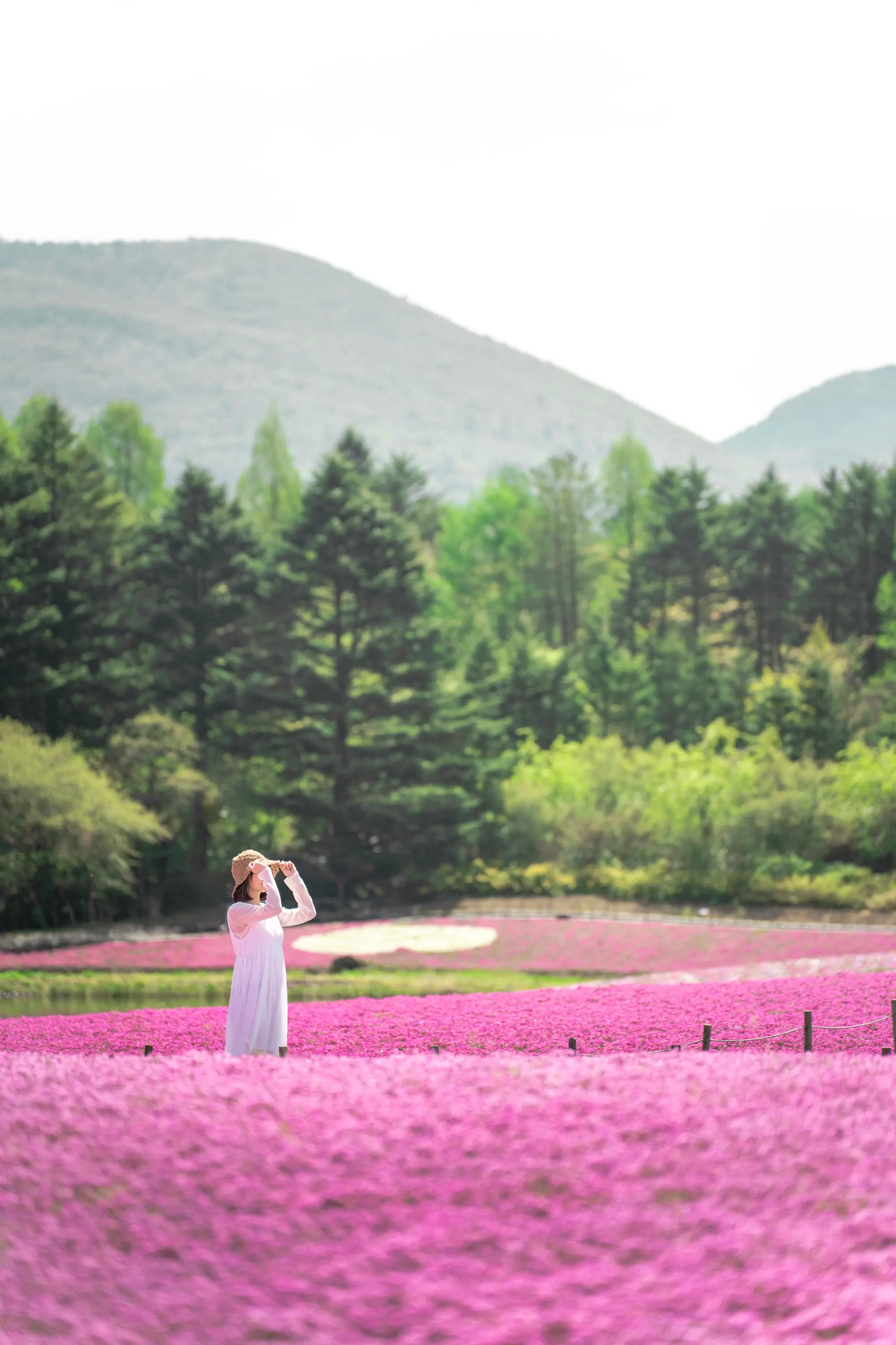 タムロン35-150mm F2-2.8 (Model A058) 製品レビュー