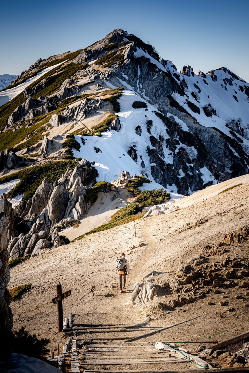 タムロンA063Zモニター作品