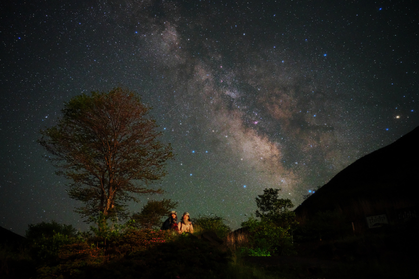 タムロンA063Zモニター作品