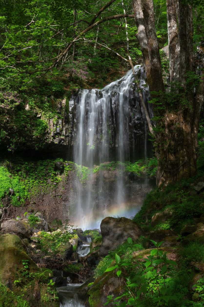 タムロンA063Zモニター作品
