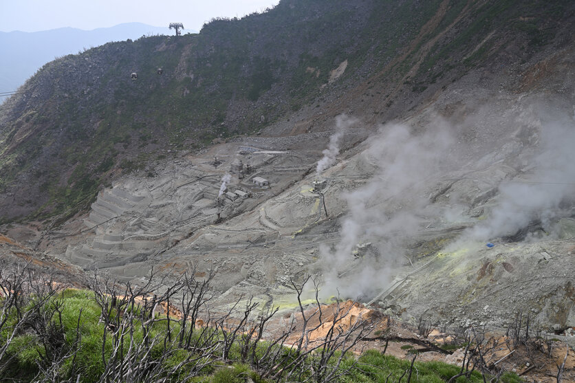 ロープウェイで箱根の大自然を満喫