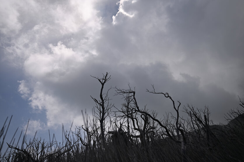 ロープウェイで箱根の大自然を満喫