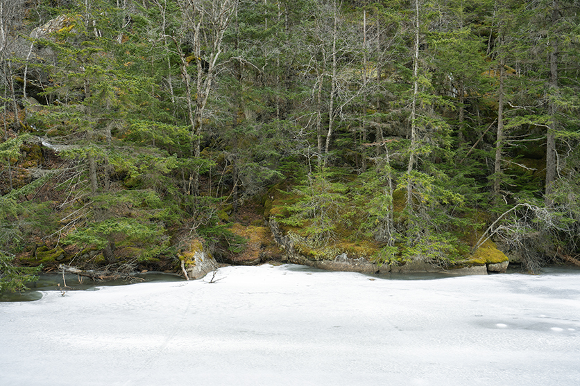 16-30mm F2.8 G2 A064 作例　風景