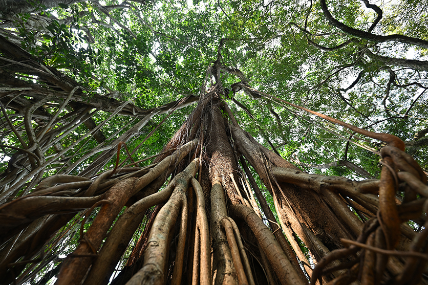 16-30mm F2.8 G2 A064 作例　風景