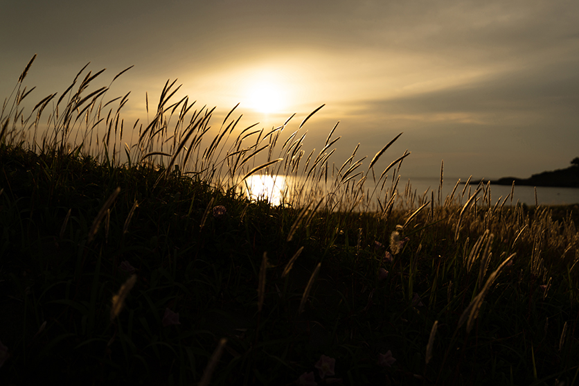 16-30mm F2.8 G2 A064 作例　風景