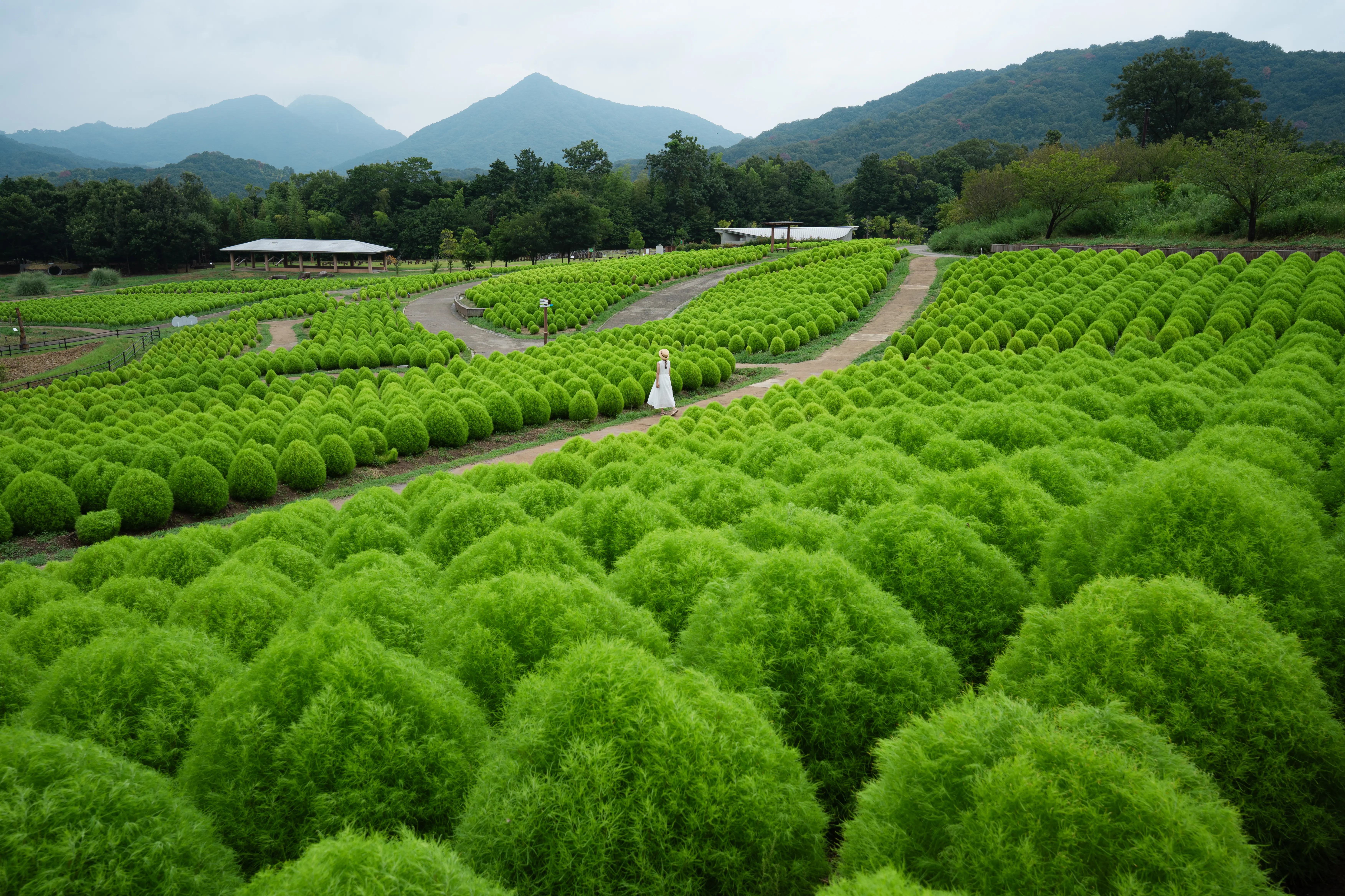 タムロン16-30mm F/2.8 Di III VXD G2 (Model A064)製品レビュー