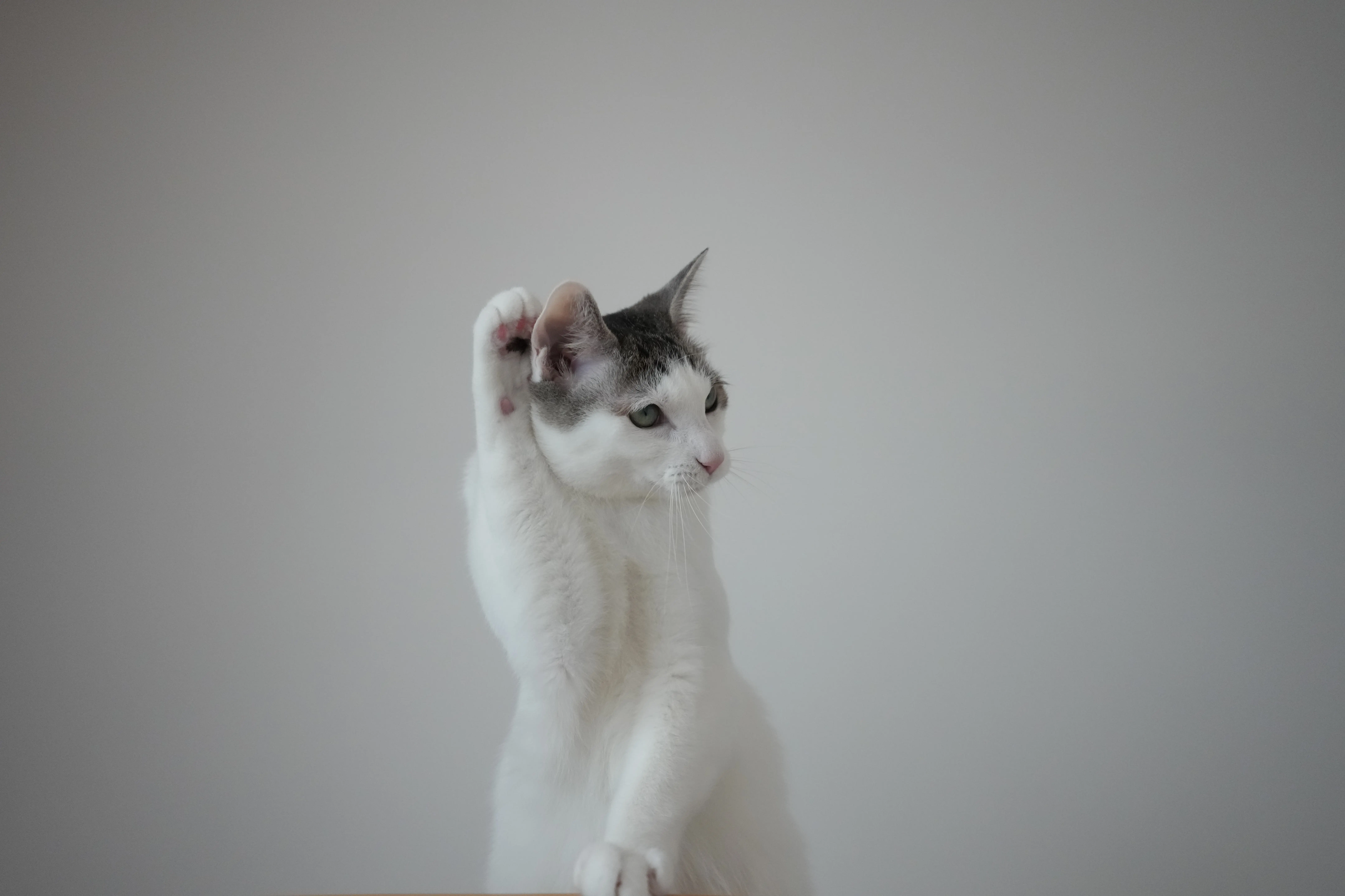 タムロン16-30mm F/2.8 Di III VXD G2 (Model A064)製品レビュー