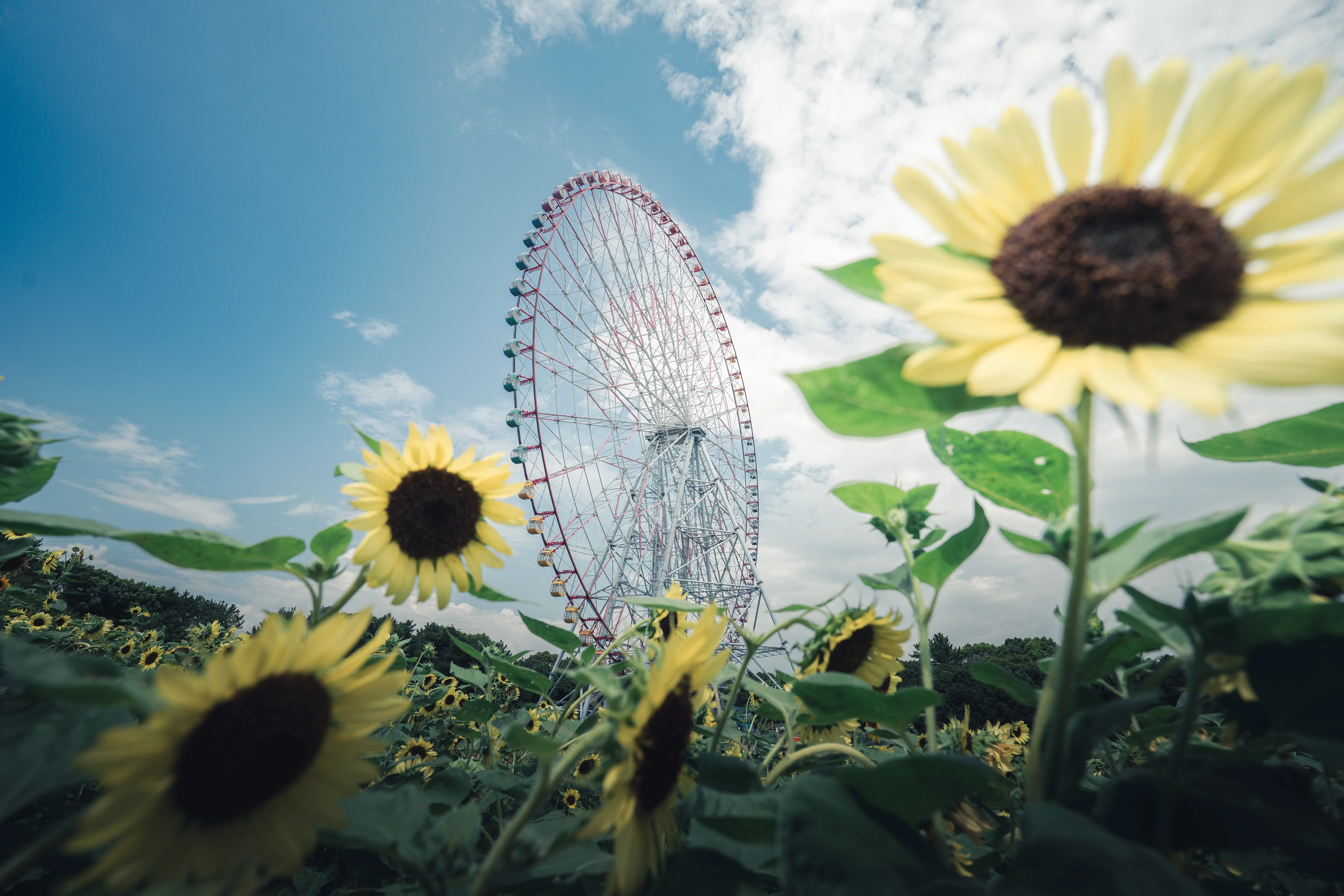 タムロン16-30mm F/2.8 Di III VXD G2 (Model A064)製品レビュー