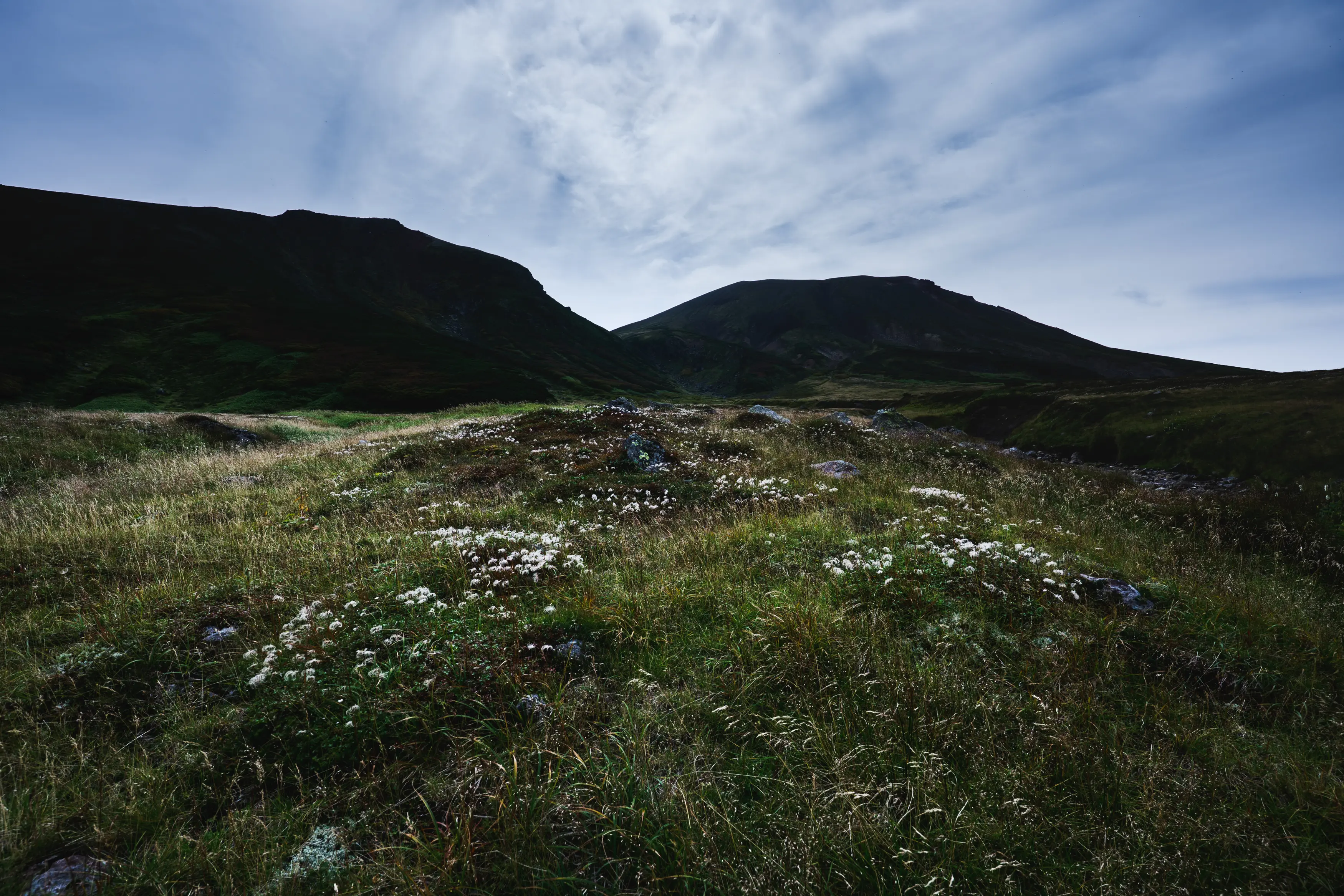 タムロン16-30mm F/2.8 Di III VXD G2 (Model A064)製品レビュー