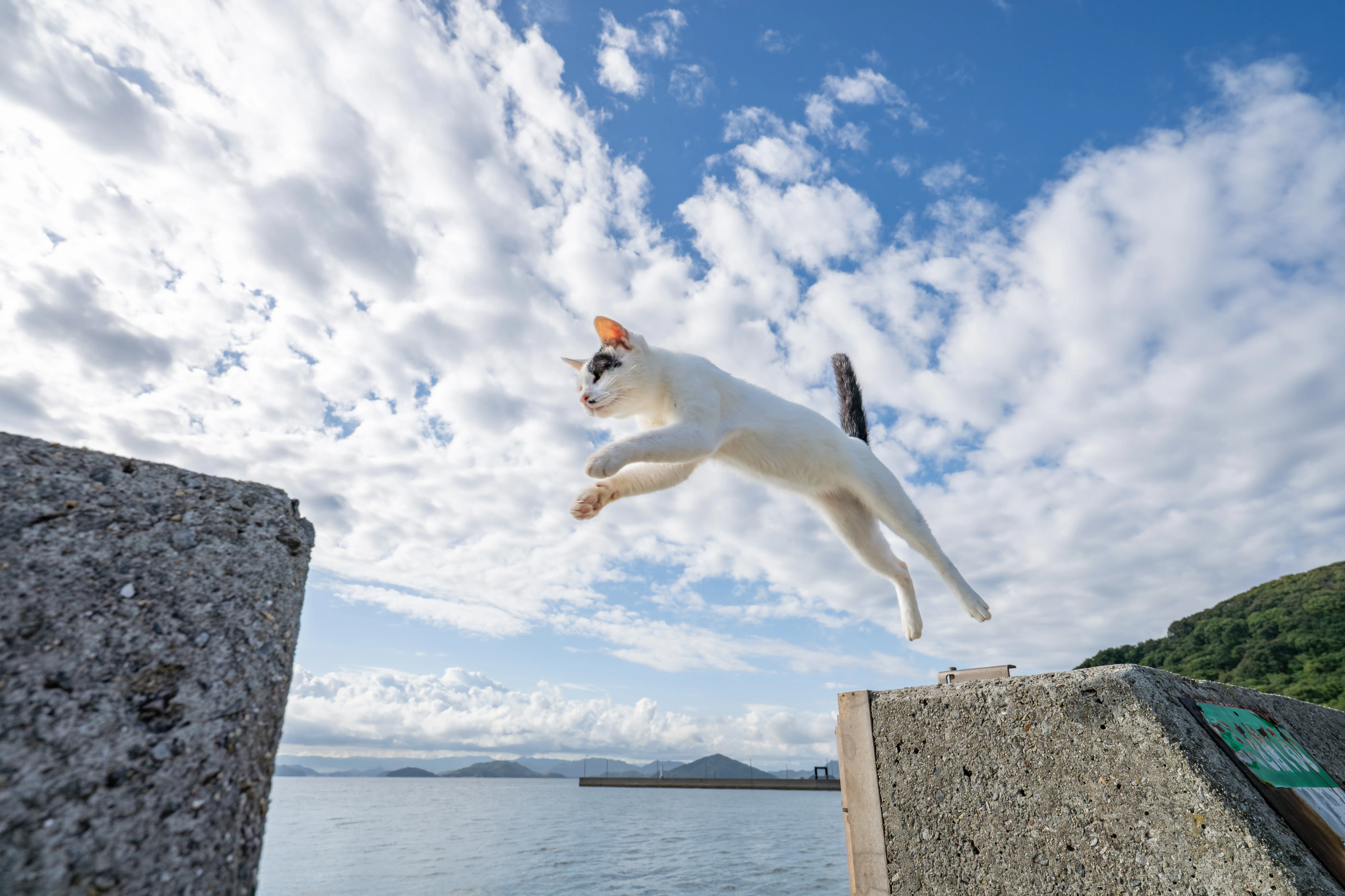 タムロン16-30mm F/2.8 Di III VXD G2 (Model A064)製品レビュー