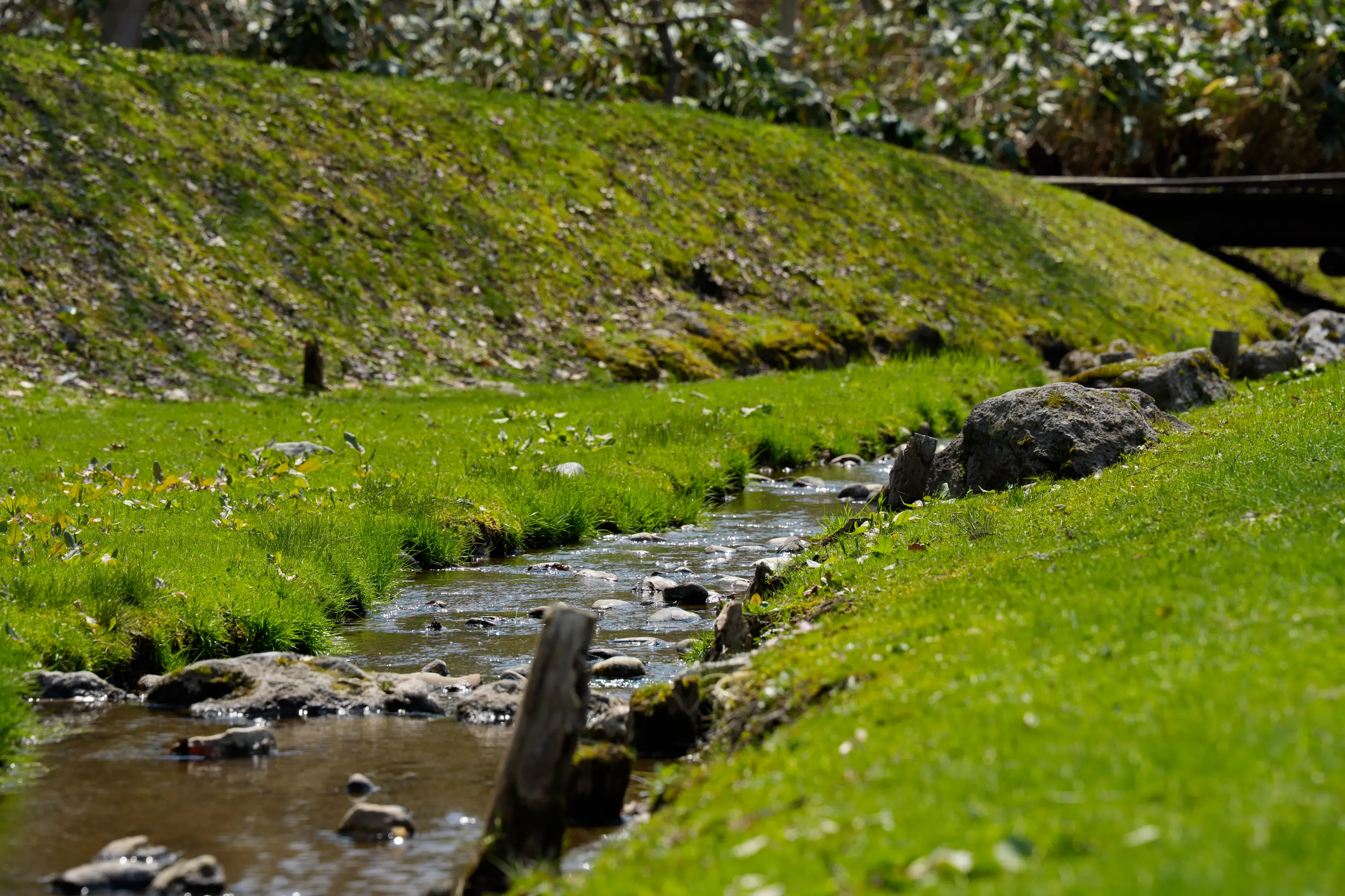 70-180mm F/2.8 Di III VC VXD G2 (Model A065)製品レビュー