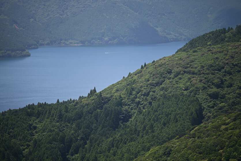 芦ノ湖では望遠ズームが大活躍