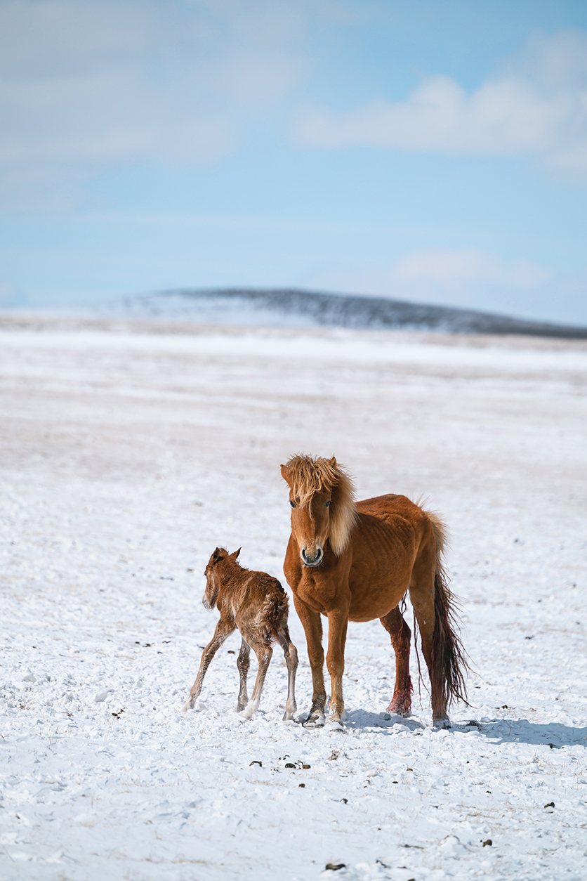 タムロン70-180mm F2.8 G2 (Model A065)