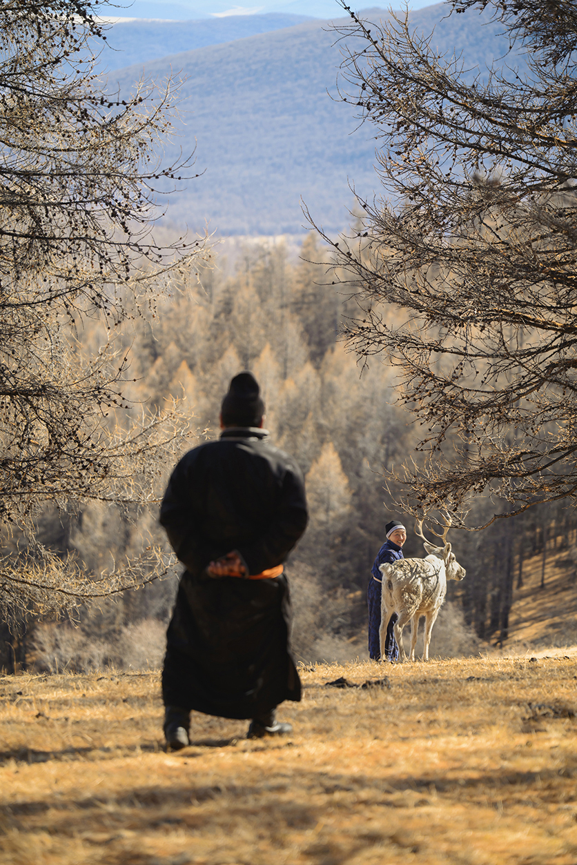 タムロン70-180mm F2.8 G2 (Model A065)