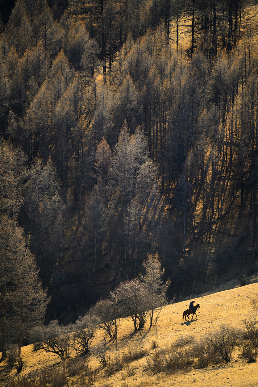 タムロン70-180mm F2.8 G2 (Model A065)
