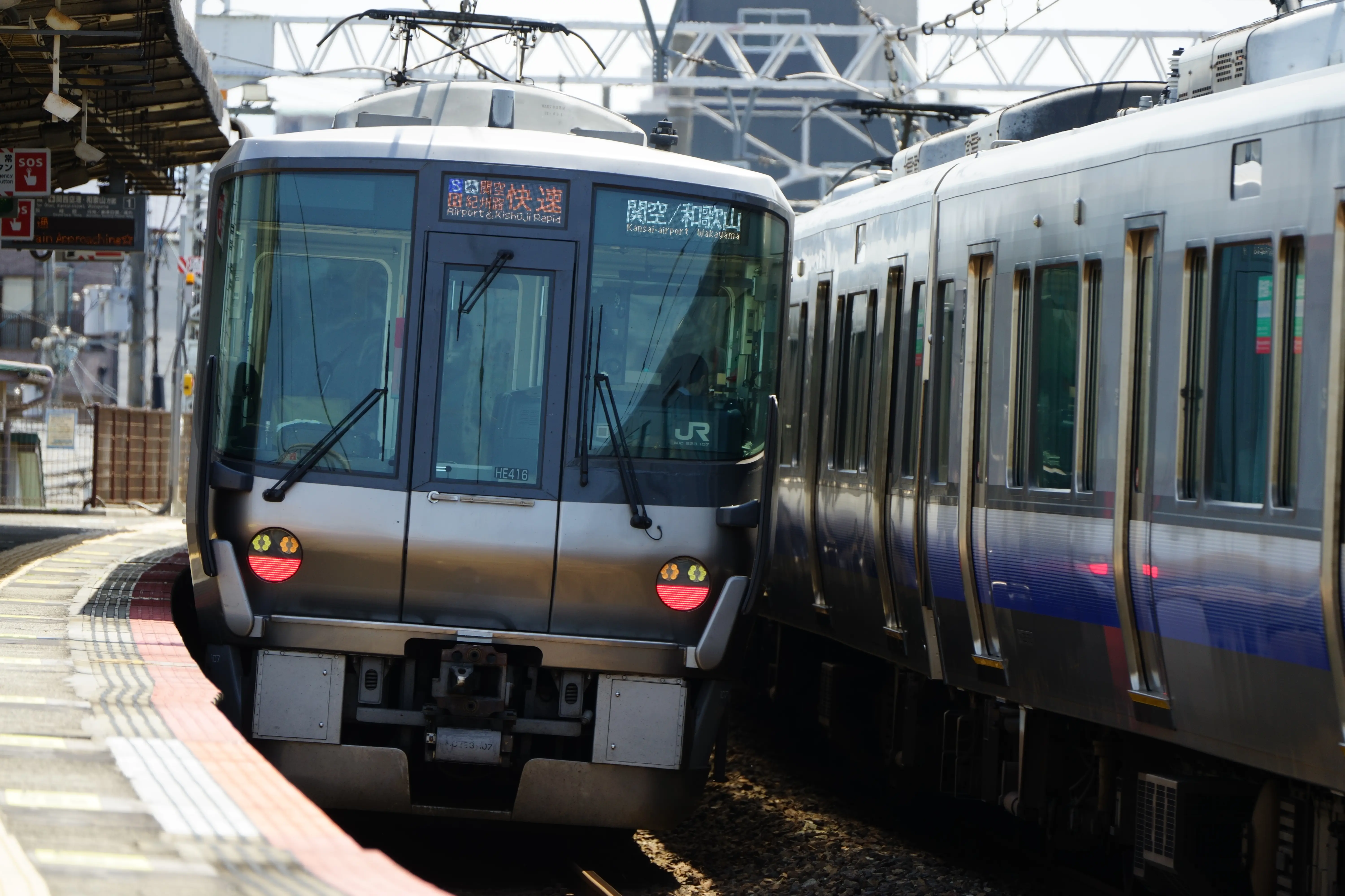 タムロン50-400mm F4.5-6.3 (Model A067) 製品レビュー