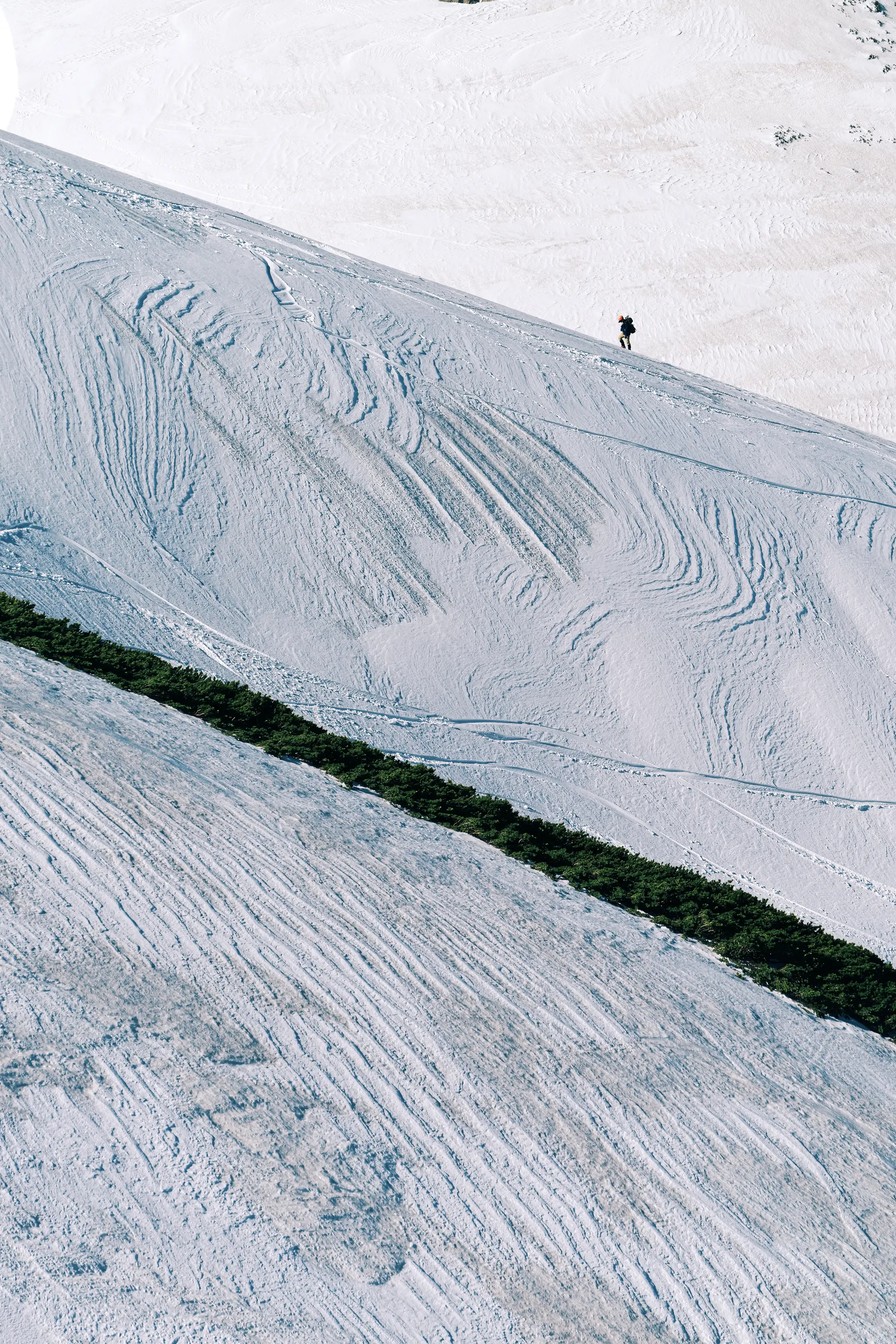 タムロン50-400mm F4.5-6.3 (Model A067) 製品レビュー