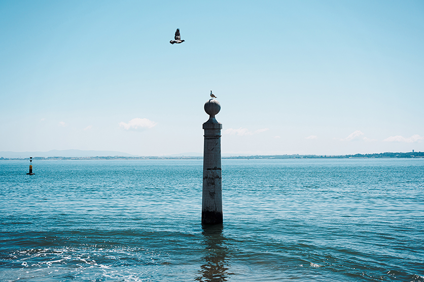 50-300mm F4.5-6.3 A069 作例 wacamera