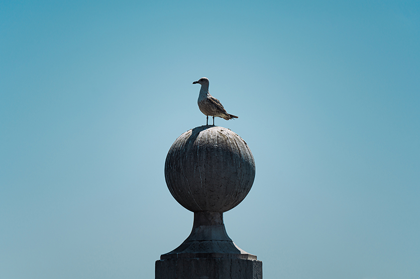 50-300mm F4.5-6.3 A069 作例 wacamera