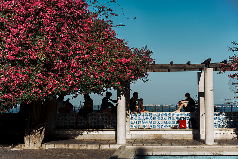 50-300mm F4.5-6.3 A069 作例 wacamera