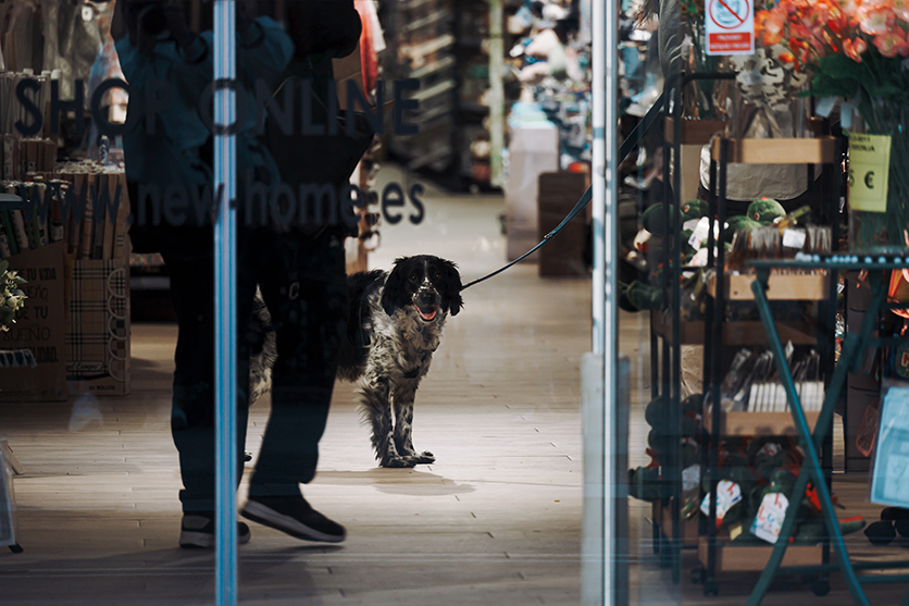 50-300mm F4.5-6.3 A069 作例 wacamera