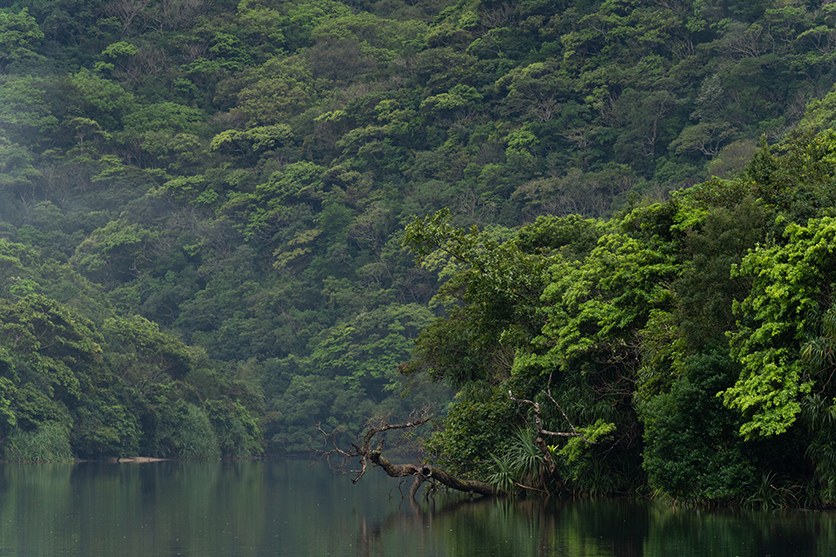 50-300mm F4.5-6.3 Model A069 作例 柏倉 陽介