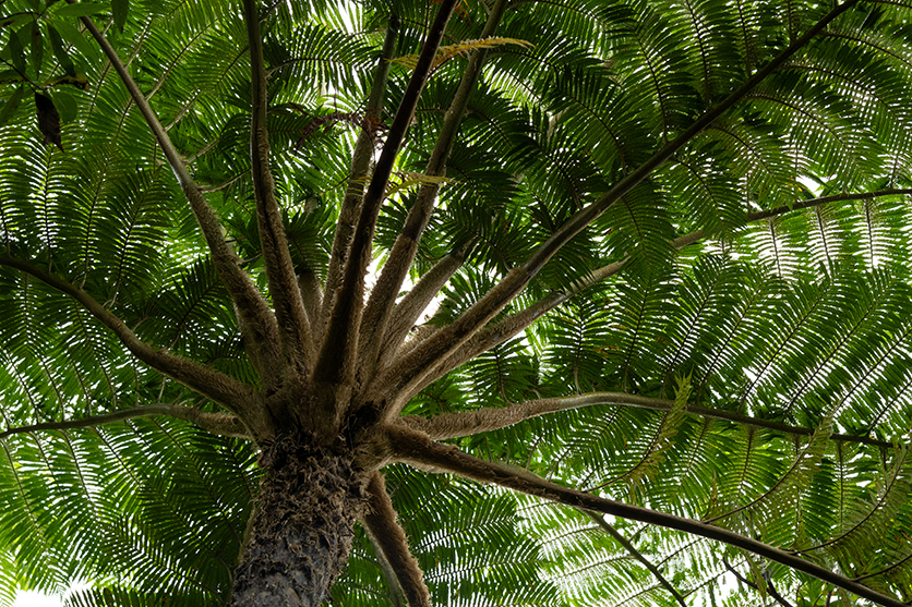 50-300mm F4.5-6.3 Model A069 作例 柏倉 陽介