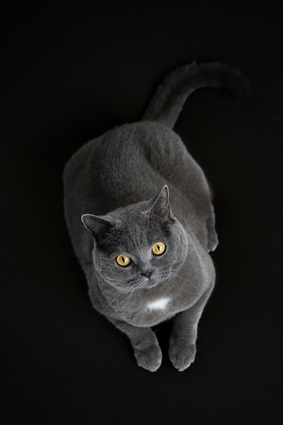 50-300mm F4.5-6.3 Model A069 作例 坂井田 富三