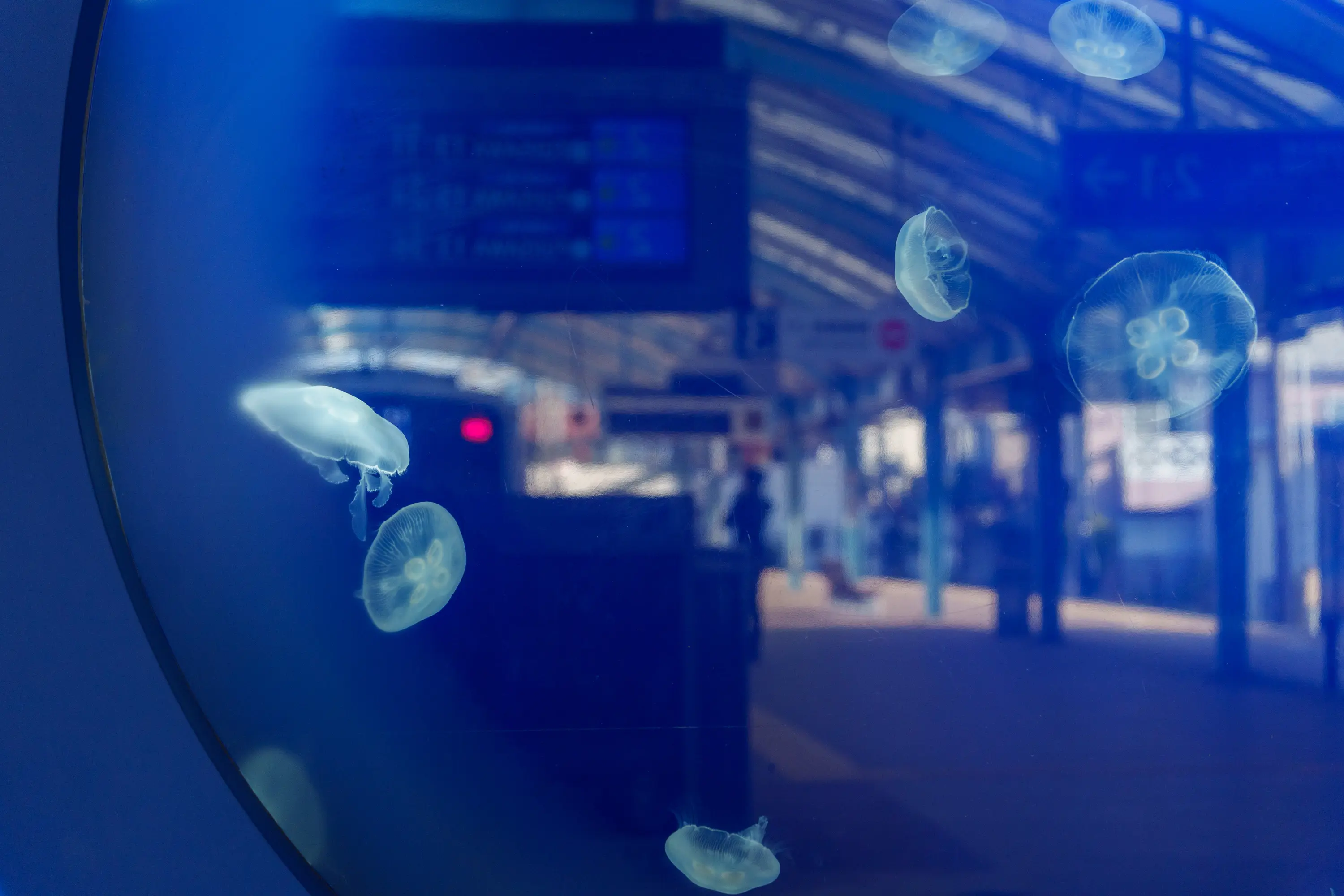 25-200mm F/2.8-5.6 Di III VXD G2 (Model A075)製品レビュー