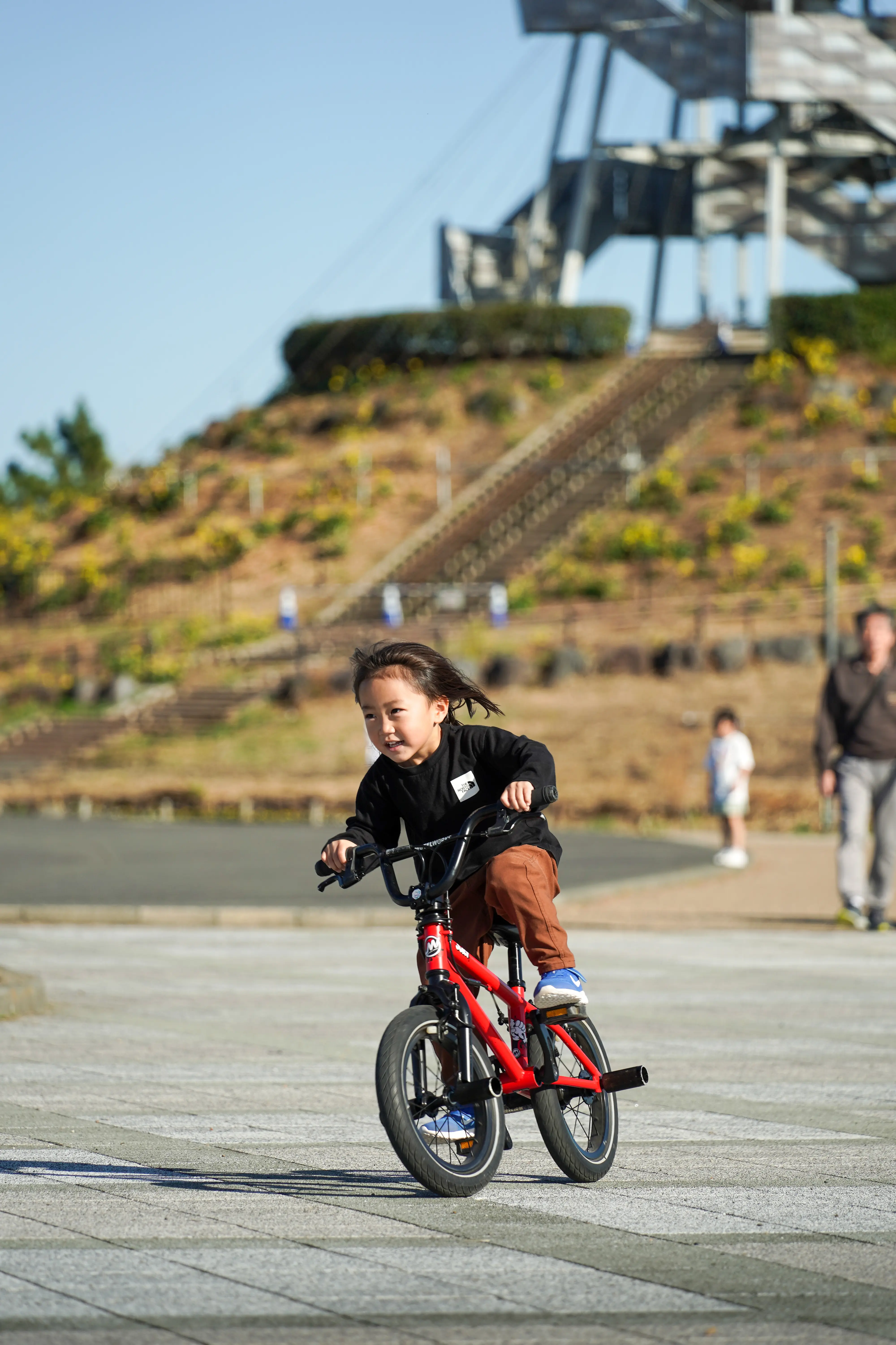 25-200mm F/2.8-5.6 Di III VXD G2 (Model A075)製品レビュー