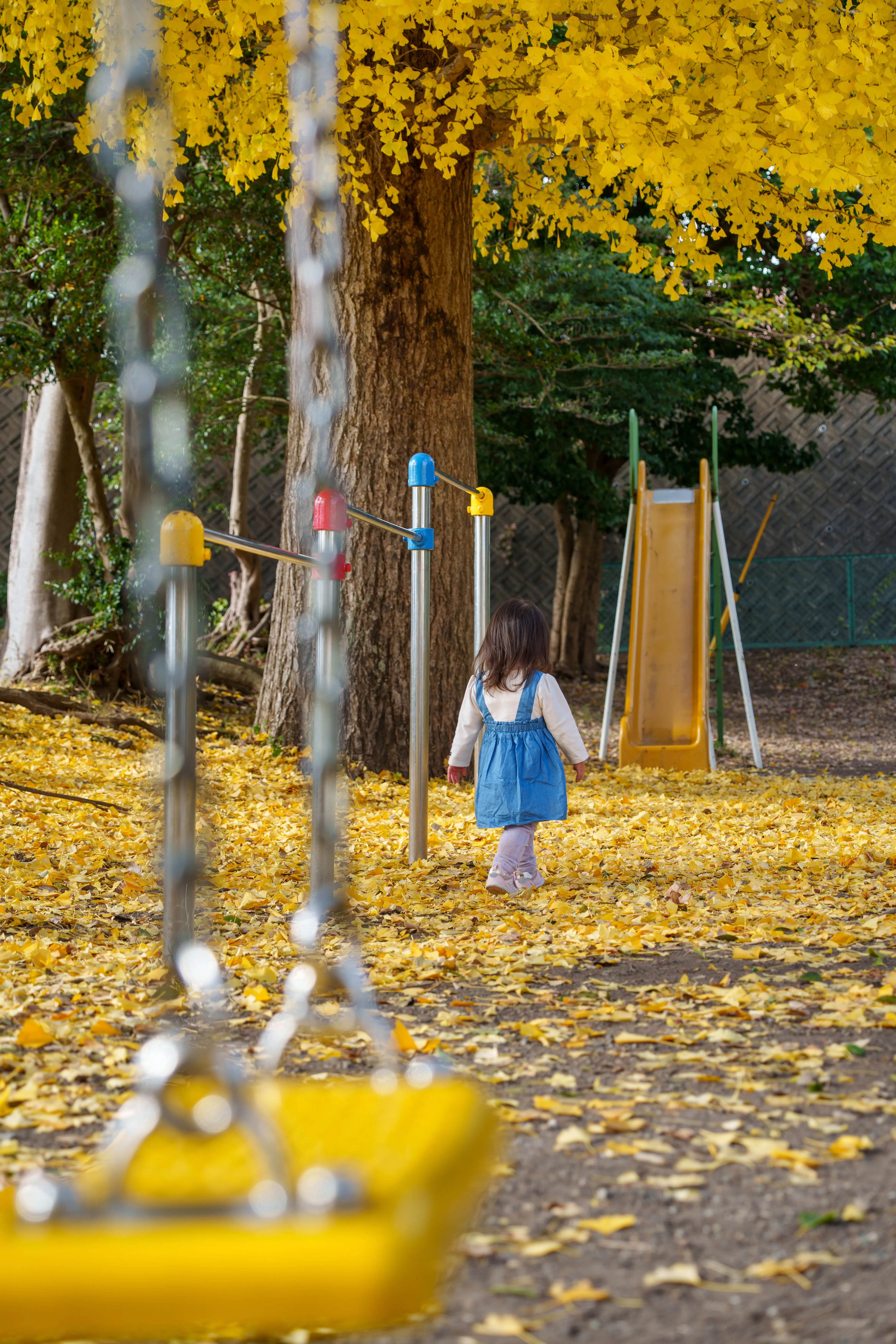 25-200mm F/2.8-5.6 Di III VXD G2 (Model A075)製品レビュー