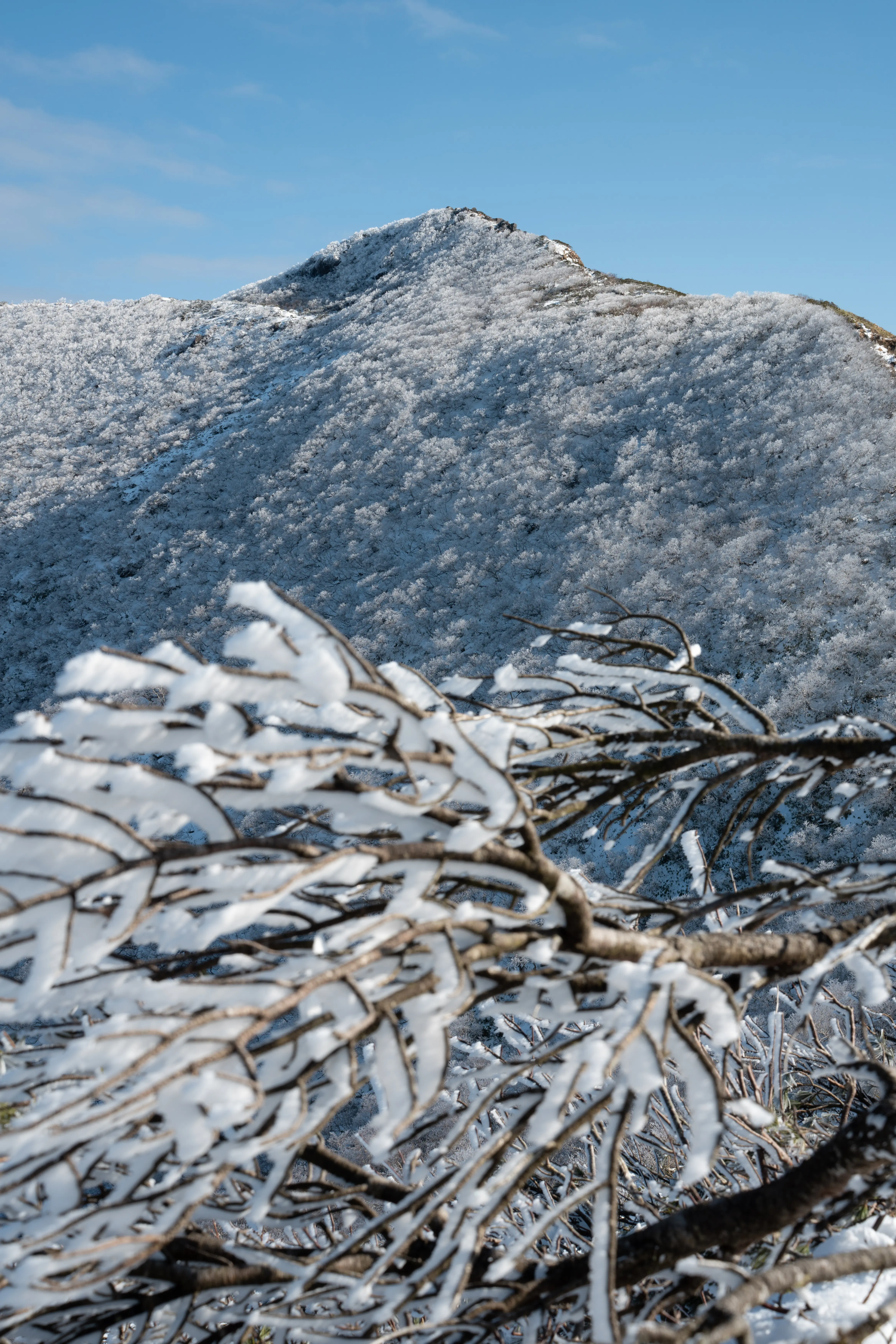 25-200mm F/2.8-5.6 Di III VXD G2 (Model A075)製品レビュー