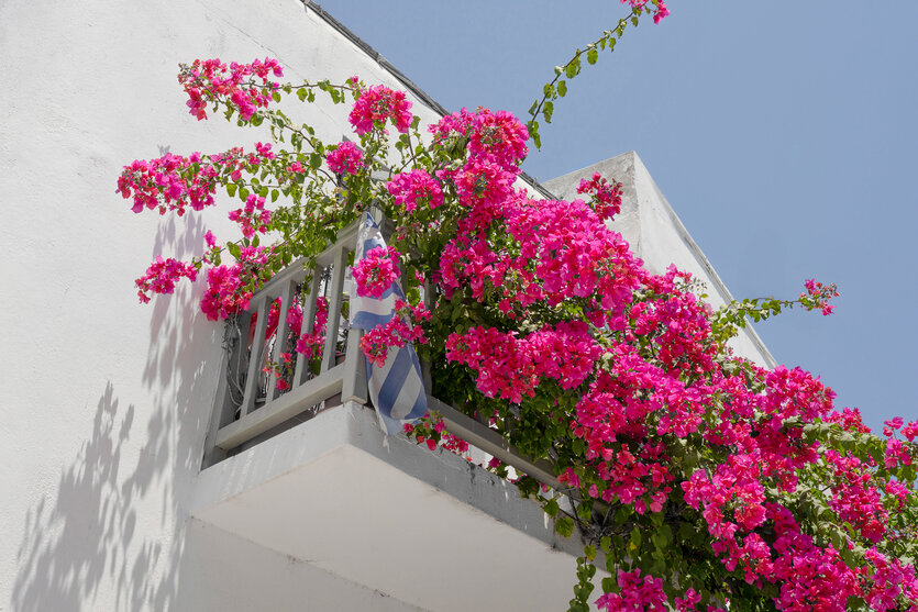 写真家 Martin Krolop氏がタムロン25-200mm F2.8-5.6 G2 (Model A075)で撮影するトラベルスナップ