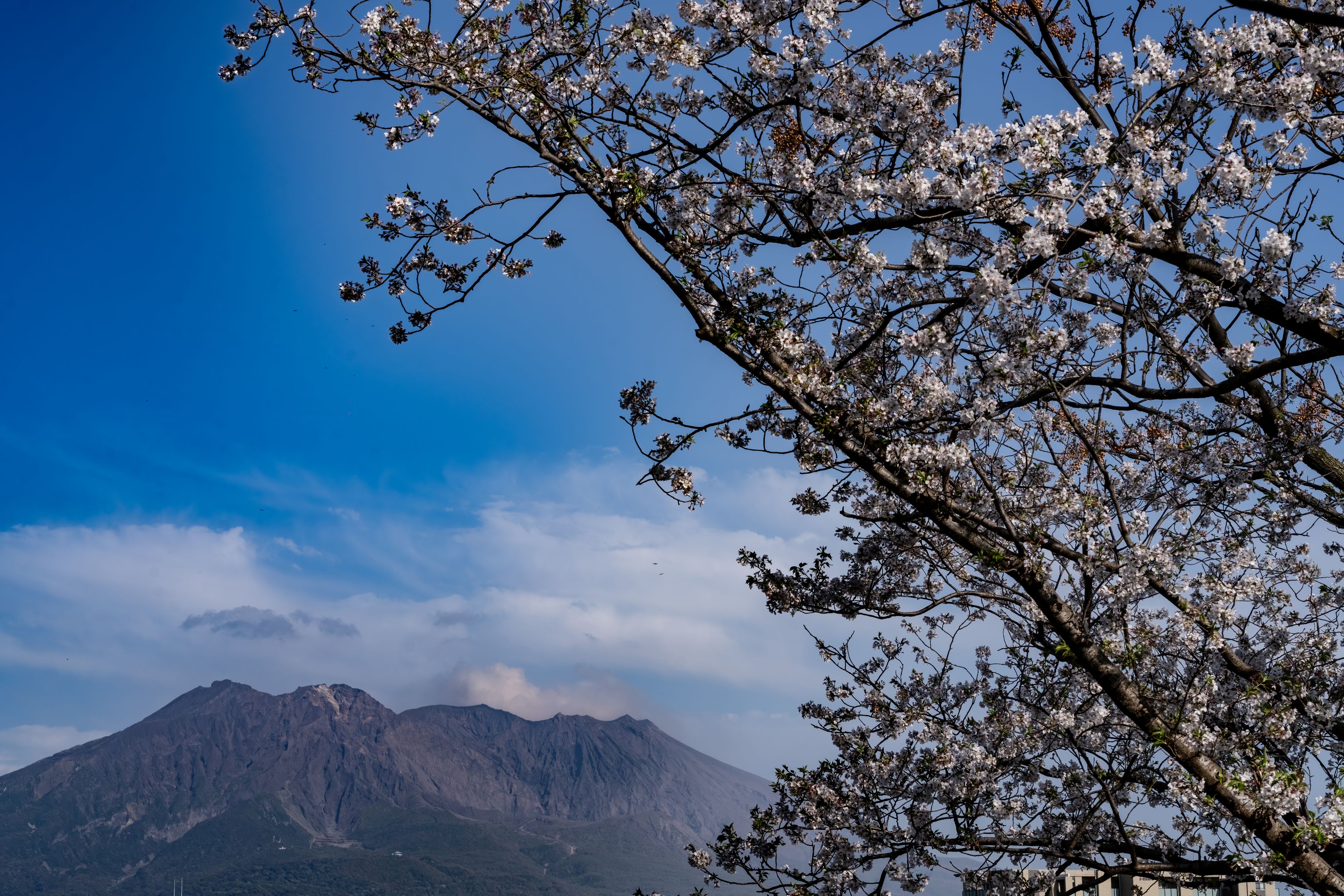 35-100mm F/2.8 Di III VXD (Model A078)