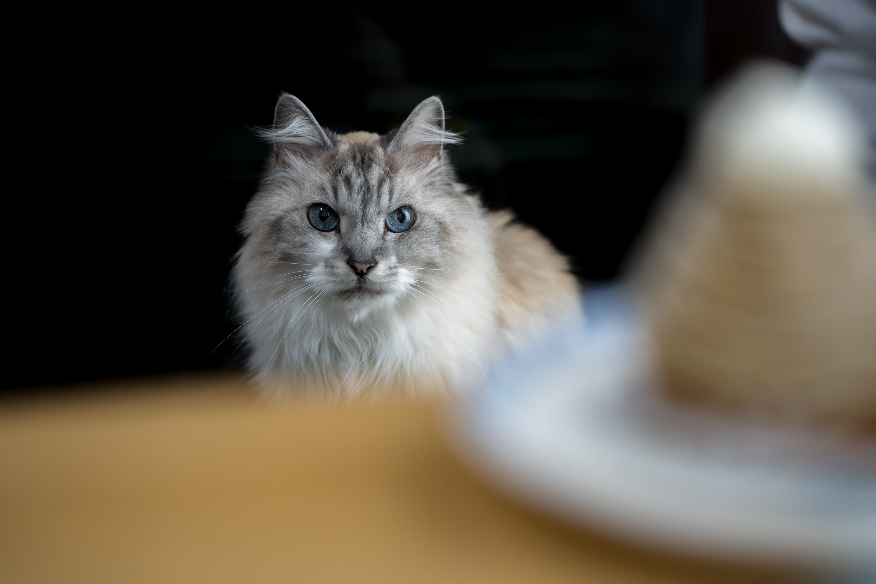 35-100mm F/2.8 Di III VXD (Model A078)