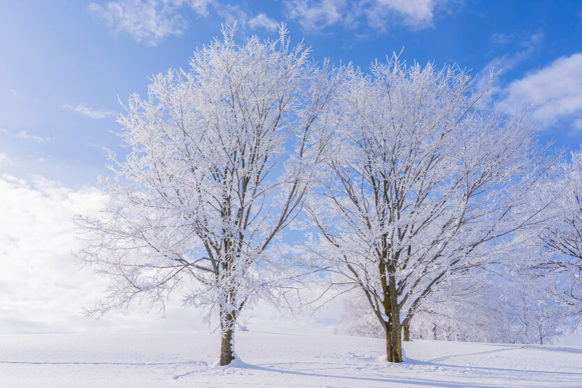 澄み切った青空