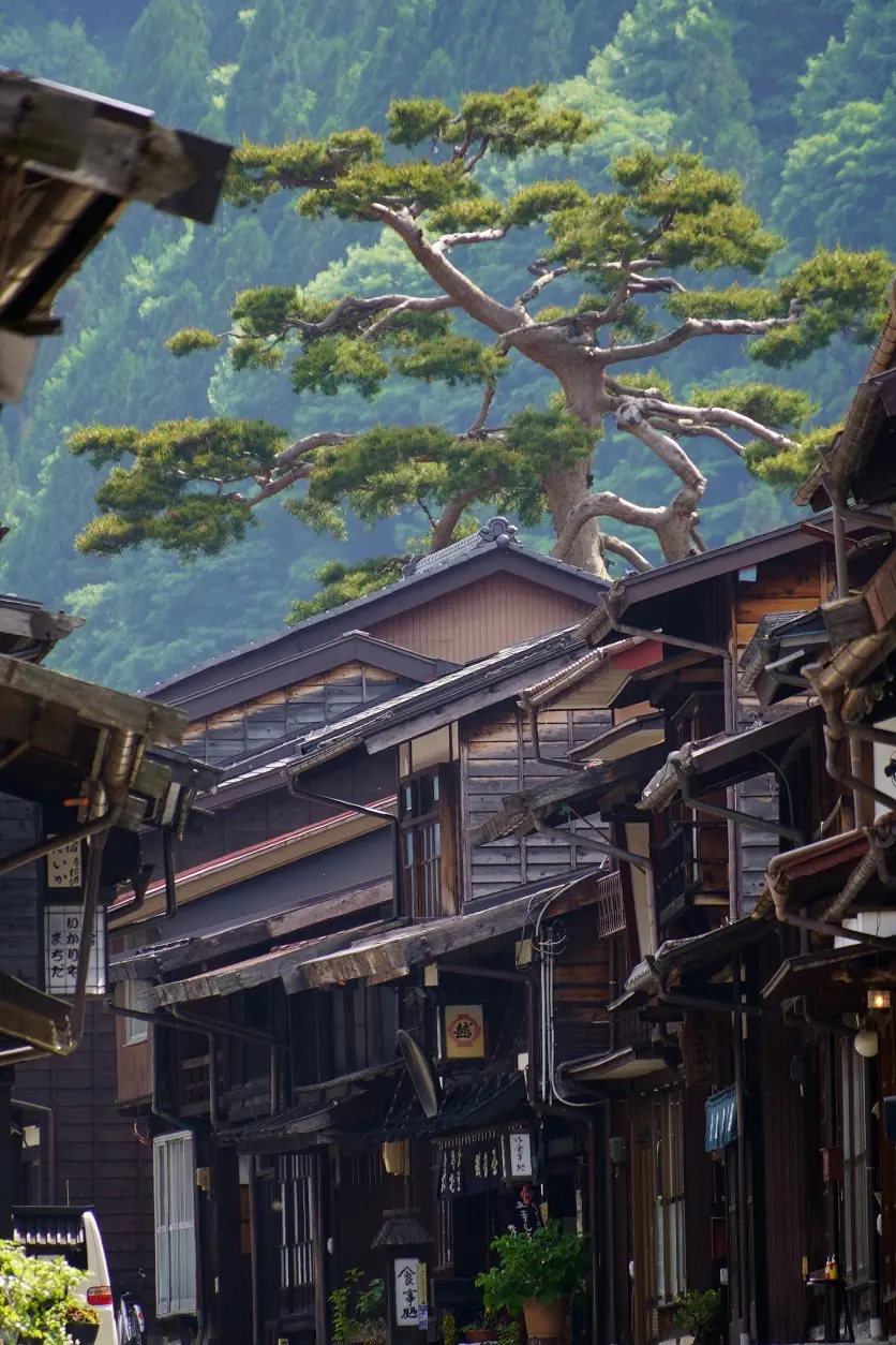 主題と背景との距離感を意識する