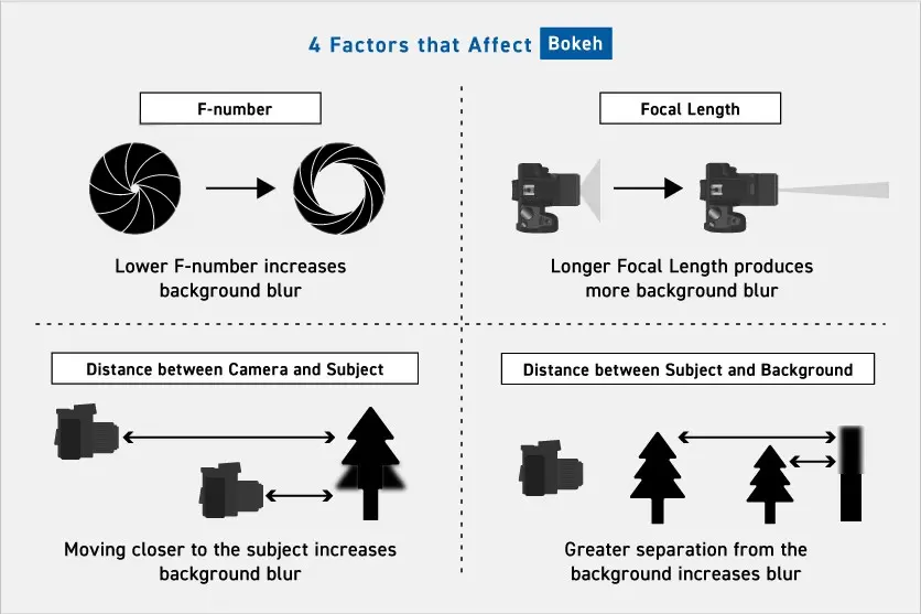 Elements that create bokeh