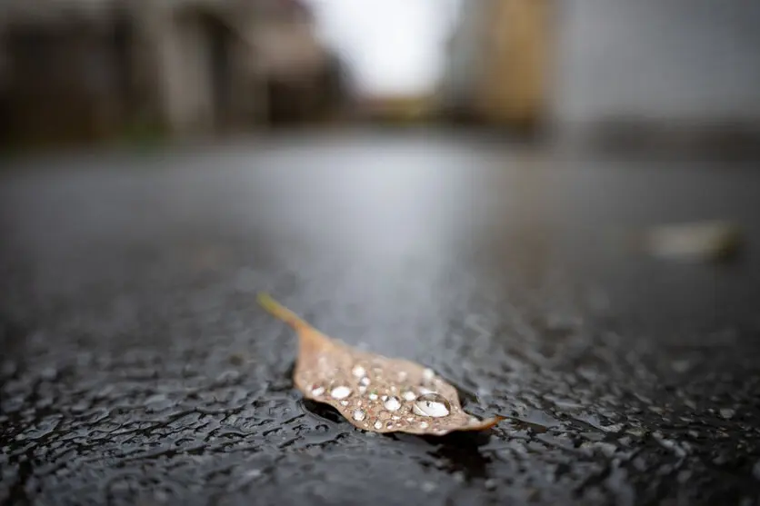 雨ならではの構図アイデア