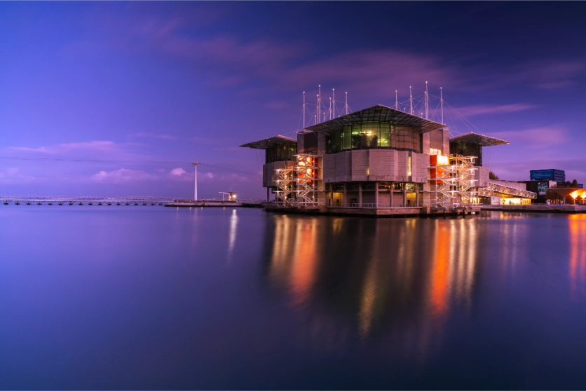 思い切った寄り引きでメリハリを生む