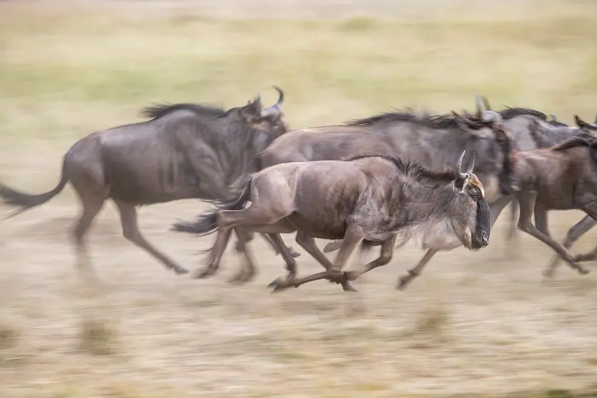 シャッタースピードは1/60秒を基本に