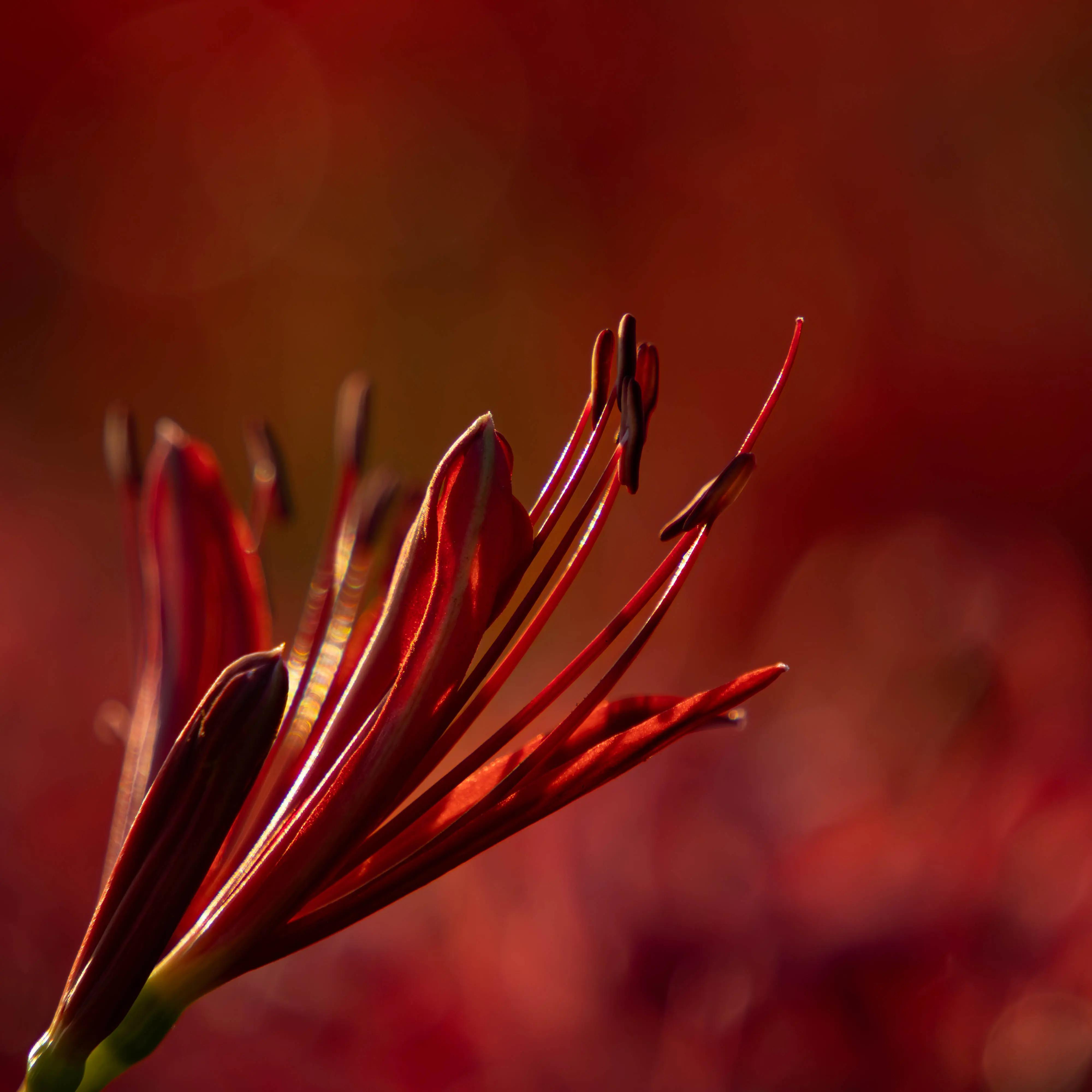 タムロン18-300mm F/3.5-6.3 Di III-A VC VXD (Model B061)製品レビュー