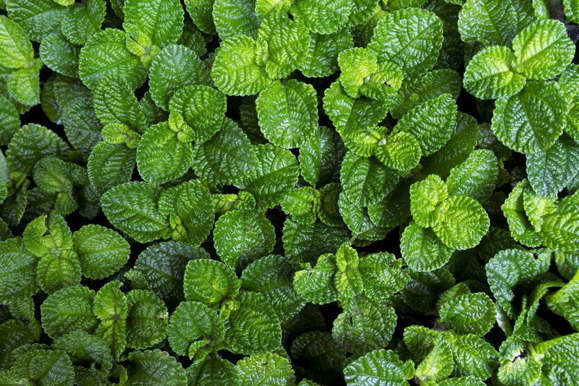 18-300mm F3.5-6.3 (Model B061)