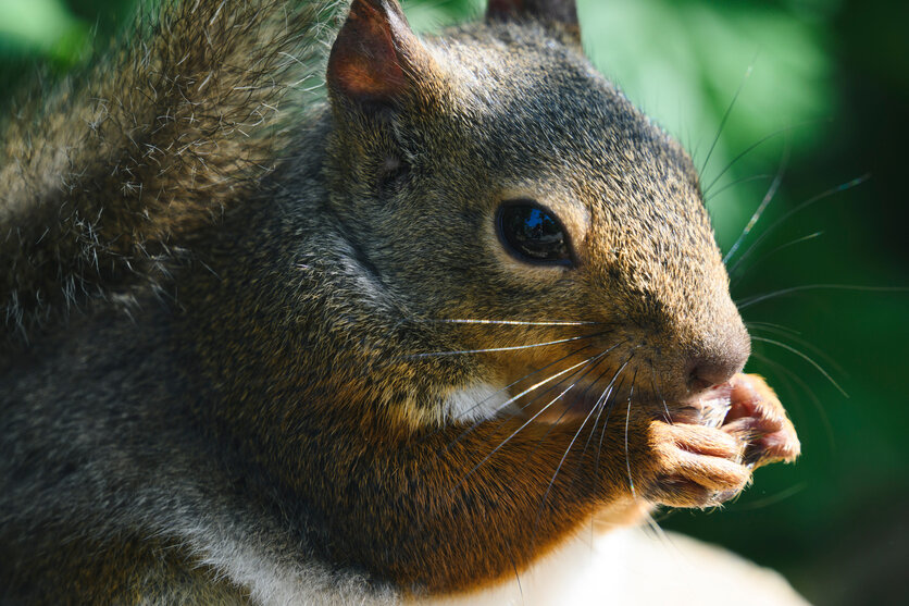 18-300mm F3.5-6.3 (Model B061)