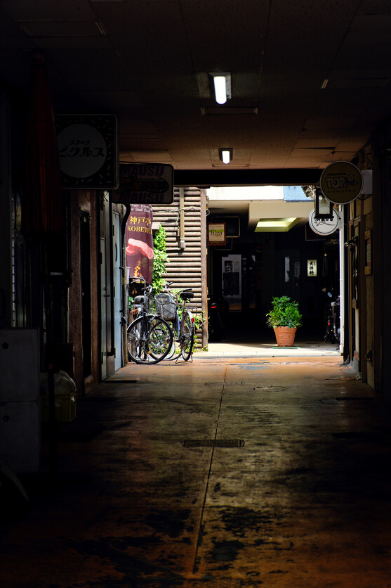 16-50mm F2.8 A B091 作例 スナップ