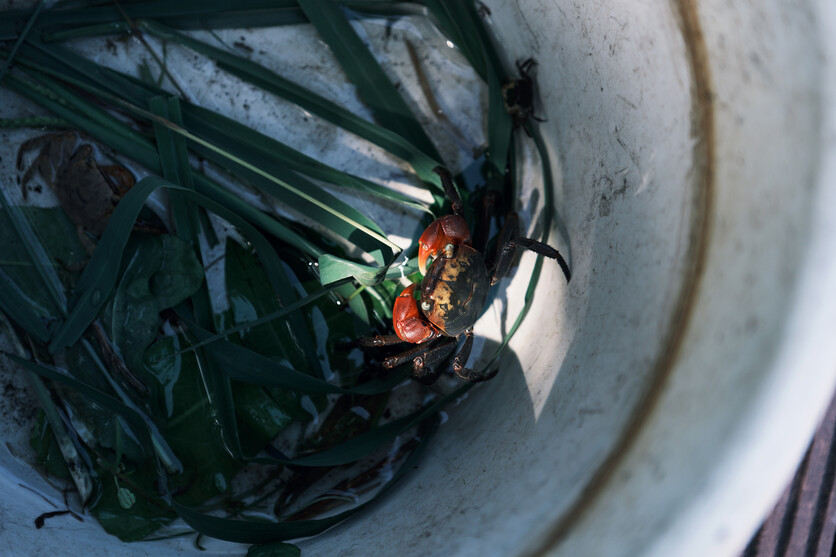 16-50mm F2.8 A B091 作例 スナップ